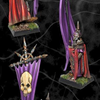 VC Wight King BSB by goblin1980