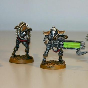 Necron Immortals.... by hopi