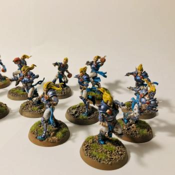 Elves Blood Bowl team by instant