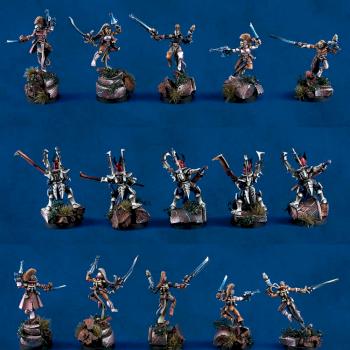 Dark Eldar Treasure Hunters Incubi Harlequins by MaybugM