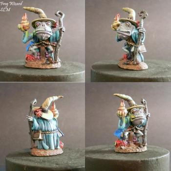 Frog Wizard by StillLifeMiniatures