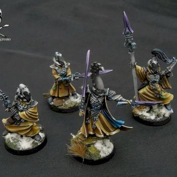 Eldar Farseer and Warlocks by Jolly Roger Studio