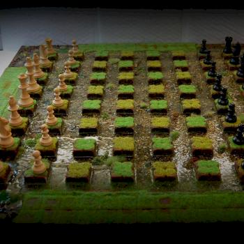 Swampy chess board by ndwj