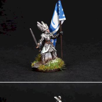 LOTR Dol Amroth Standard Bearer on Foot by Mojo77