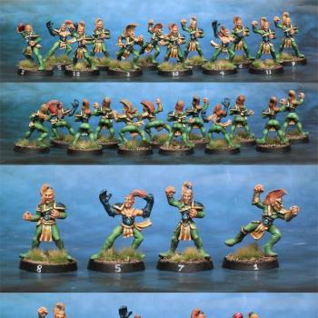 Wood Elf Blood Bowl team by lono