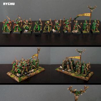 Wood Elves Galde Guards by RYCHU666