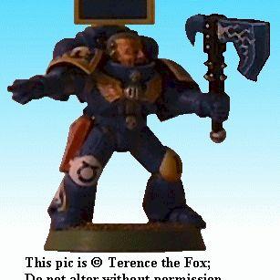 Space Marine Ultramarine Sergeant by TerenceFox