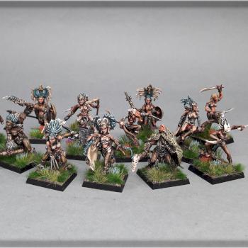 FREEBOOTER’S FATE AMAZONS by Nazroth