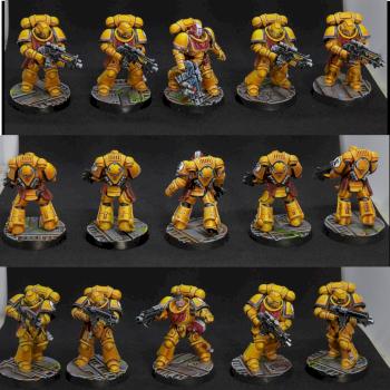 Imperial Fists Intercessor Squad by zwings