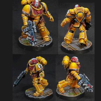 Imperial Fists Intercessor Sergeant by zwings