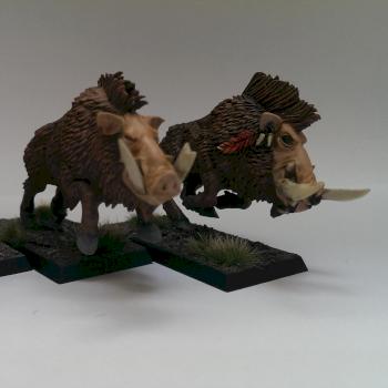 Boars for my savage orc boar boyz by Dornsapothecary