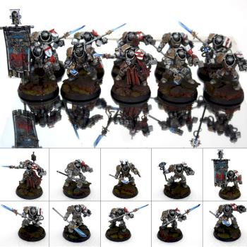 Grey Knight Terminators by Johnnyhorse