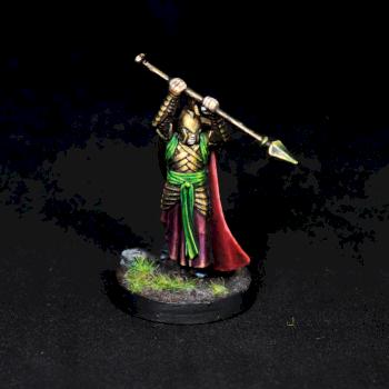 Elf Spearman, Conversion TLOTR by FrozenFireArts