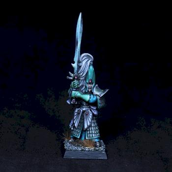 Elf Warrior Warhammer Fantasy by FrozenFireArts