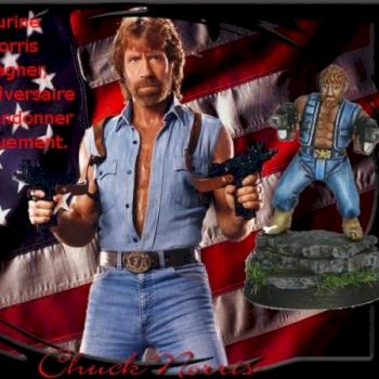 Chuck Norris Facts by AlaricCantonain