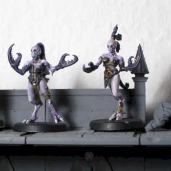 Chaos Daemons Daemonettes of Slaanesh (wip) by Roxor