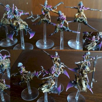 Dark Eldar Hellions by Reaver