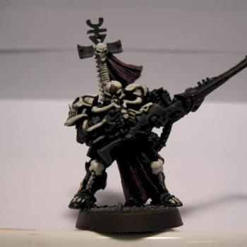 Dark Reaper Pheonix Lord by Paintgrot