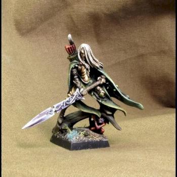 Wood Elf Lord with Great Weapon by Gildor