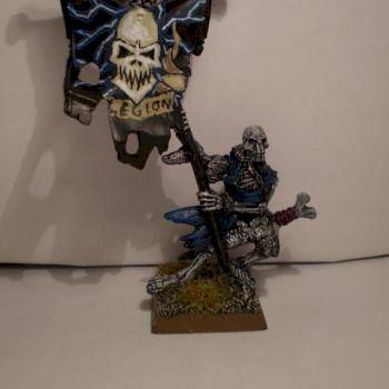 Skeleton standard bearer by Nagash FFC