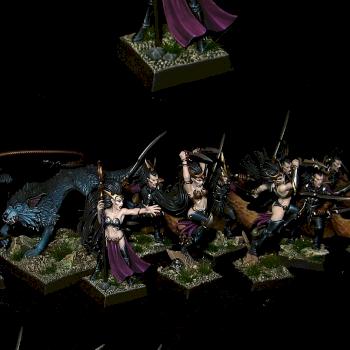 Dark Elven Warband by Lan Studio