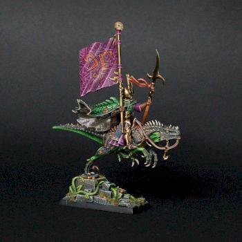 Dark Elves MASTER BSB on COLD ONE by siny lemur