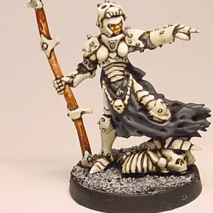 Chainmail Bone Cleric by idahoan