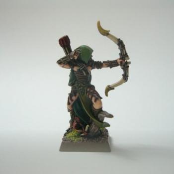 Wood elves: wood elf hero with bow by aman