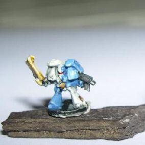 Epic Assault Marine of the Sons of Guilliman Chapter by CtanSupportGroup