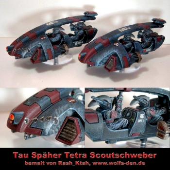 Rash_Ktah's Tau Tetra skimmers by Rash Ktah