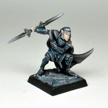 Baeldrinahr, Rogue Fighter by The Artisan