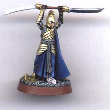 LotR Elven Warrior with double sword by Druzil