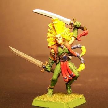 Hero Quest Elf Wardancer. by Mr.Keys