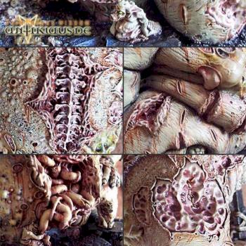 Scabeiathrax the Bloated | Great Unclean One  :: Details :: by antiklaus