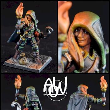 Wood Elf Rogue, Dungeons & Dragons, Pathfinder, Hero Forge by TheDoctor