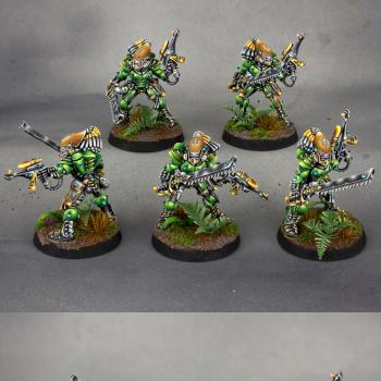 Eldar Striking Scorpions squad by Hendarion