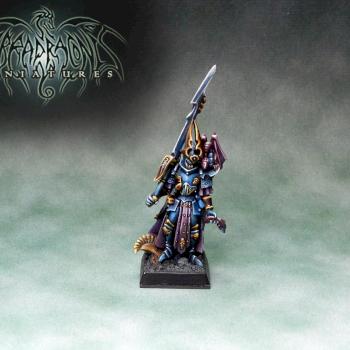 Dark Elves Lord by Umbra Draconis