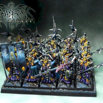 Dark Elves Black Guard by Umbra Draconis