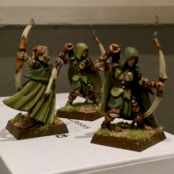 Wood Elves - Glade Guard by Lessius