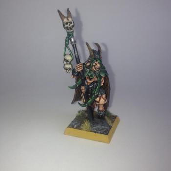 Beastmen Bray-shaman by Warp Fiend