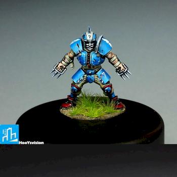 Blood Bowl Human Team Lineman by HooY