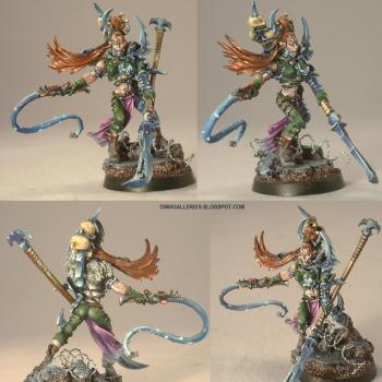 Dark Eldar Succabus by dims