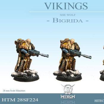 Bigrida by hitechminiatures2