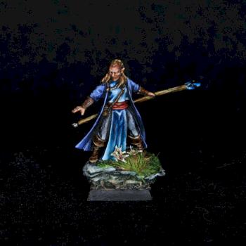 Mordheim Elf Mage by warhamsterpainting