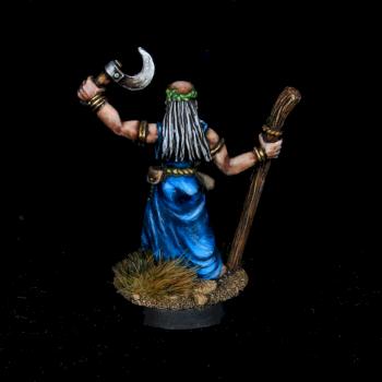 Druid Hengus Giants of Albion by warhamsterpainting