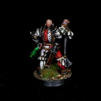 Freeguild General / Empire Captain with bottle by warhamsterpainting