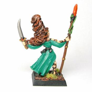 Wood Elf - Mage by NWMP