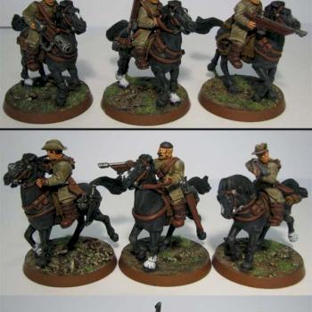 Australis Lighthorse IG Rough Rider 'Rifles' by Tyra Nid