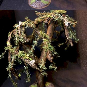 Gobbo owned Tree by Graishak