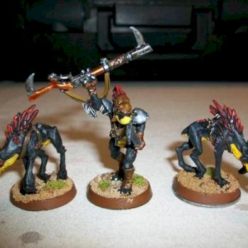 Tau Kroot Shaper and Hounds by BibleFight